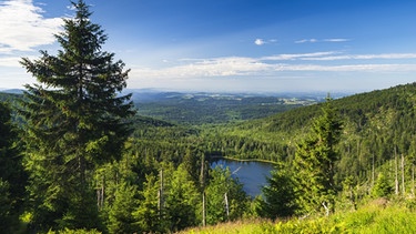 Aussicht auf den Rachelsee, Nationalpark Bayerischer Wald, Bayern, Deutschland, Europa | Bild: picture alliance/imageBROKER