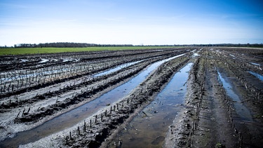 Eine landwirtschaftlich genutzte Hochmoorfläche. | Bild: dpa-Bildfunk/Sina Schuldt
