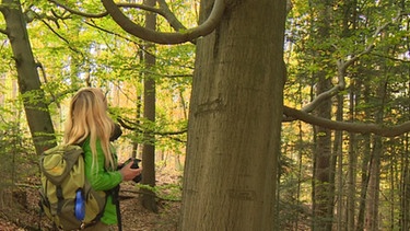 Claudia Blank, Waldbeauftragte des Bund Naturschutz, im Sebalder Reichswald  | Bild: BR