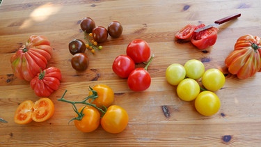 Tomaten | Bild: BR