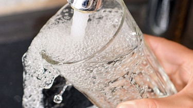 ACHTUNG: SPERRFRIST 22. AUGUST 02:01 UHR. ACHTUNG: DIESER BEITRAG DARF NICHT VOR DER SPERRFRIST, 22. AUGUST 02.01 UHR, VERÖFFENTLICHT WERDEN! - ARCHIV - 08.08.2019, Brandenburg, Sieversdorf: Am Wasserhahn in einer Küche wird ein Trinkglas mit Leitungswasser befüllt. Die Vorkommen von Mikroplastik im Trinkwasser und seine etwaigen gesundheitlichen Auswirkungen müssen nach Überzeugung der Weltgesundheitsorganisation (WHO) noch viel genauer untersucht werden. Das gelte für die Verbreitung dieser Partikel und auch für die Risiken, teilte die WHO am 21.08.2019 in Genf mit. Foto: Patrick Pleul/zb/dpa +++ dpa-Bildfunk +++ | Bild: dpa-Bildfunk/Patrick Pleul