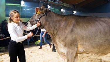 Kann die Kuh "Prisca" die Preisrichter bei der Bundesjungzüchterschau überzeugen? | Bild: BR