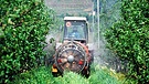 Ein Traktor beim Spritzen von Pestiziden (Insektenvernichtungsmittel) oder Funghiziden (gegen Pilzbefall) auf einer Apfelplantage.  | Bild: picture-alliance / dpa | Udo Bernhart