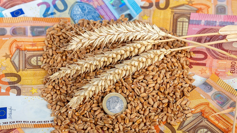 Symbolbild: schwankende Getreidepreise durch die Ukraine-Krise | Bild: picture alliance / agrarmotive | Klaus-Dieter Esser