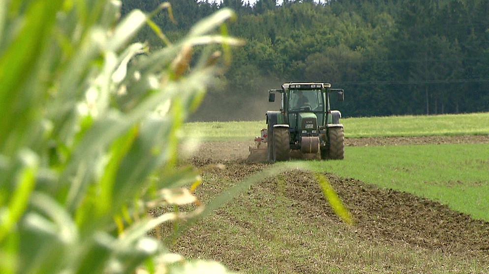Traktor auf dem Feld | Bild: BR