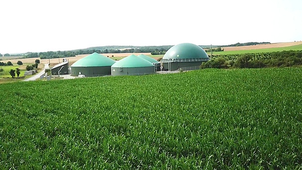 Biogasanlage mit Monokultur-Feld im Vordergrund | Bild: BR