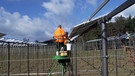 Die Energiewende braucht regenerative Energie: Demnächst geht eine Solar-Anlage in Betrieb, die über einem Hopfengarten installiert ist | Bild: BR / Susanne Pfaller
