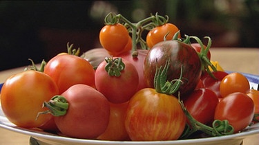 Teller mit unterschiedlichen Tomatensorten | Bild: WDR
