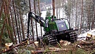 Harvester im Steilhang: Borkenkäfer-Bekämpfung im Frankenwald | Bild: BR