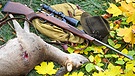 Nach einer Ansitz-Drückjagd liegt ein geschossenes Reh neben einem Rucksack und einem Jagdgewehr. | Bild: picture alliance/dpa | Patrick Pleul