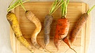 Wohin mit krumm gewachsenen Karotten?  | Bild: colourbox.com