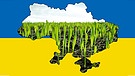 Symbolbild: Wie geht es der Landwirtschaft in der Ukraine? | Bild: picture alliance / Countrypixel | FRP