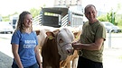 Schon seit den 1970er Jahren etablieren verschiedene Zuchtverbände erfolgreich genetisch hornlose Rinder in Milch- und Fleischrassen. Genetische Hornlosigkeit liegt mittlerweile im Trend.  | Bild: BR
