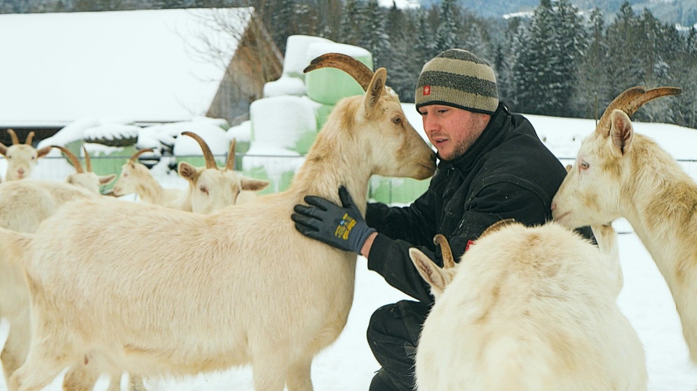 Christian Röckl hält auf seinem Betrieb im Bayerischen Wald 100 Ziegen.  | Bild: BR