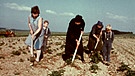 Bäuerinnen bei der Feldarbeit, 1975 | Bild: BR