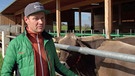 Landwirt Mathias Lingg begrünt sein Kuhstalldach | Bild: BR