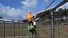 Photovoltaikanlage auf einem Hopfenfeld | Bild: BR