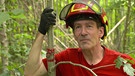 Raimund Hofmann will Waldbesitzer des Jahres werden. | Bild: BR