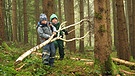 Kinder spielen im Wald | Bild: BR
