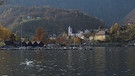 Blick auf Ebensee am Traunsee im Salzkammergut | Bild: BR