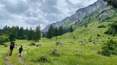 Alpe Osterberg im Kleinwalsertal | Bild: BR