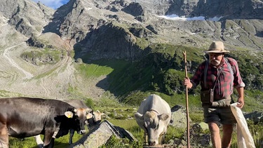 Die höchsten ihrer Art: Der Viehhirt Erich Gatt auf seiner Alm im Valstal | Bild: BR