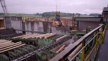 Energie aus dem Wald - Grenzen der Nachhaltigkeit: Holz wird in einer Fabrik bearbeitet | Bild: BR