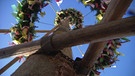 Unter unserem Himmel - Die Fronberger Kirwa: Der geschmückte Kirwabaum | Bild: BR