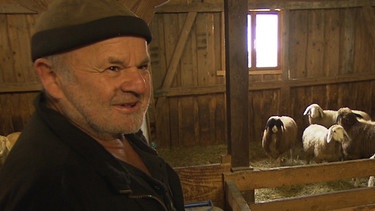 Hans Urban kümmert sich um die Schafzucht. | Bild: BR