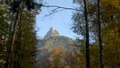 Unter unserem Himmel - Im Schwangauer Seenland: Berg im Herbstwald | Bild: BR