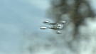 Unter unserem Himmel - Im Schwangauer Seenland: Ein Wasserläufer auf Spiegelglatter See | Bild: BR