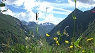 Unter unserem Himmel - Klimawandel in den Alpen: Der österreichische Nationalpark Hohe Tauern | Bild: BR