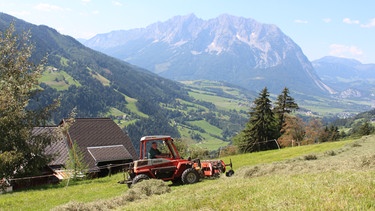 Heuarbeit auf den steilen Hängen des Bergbauernhofes von Peter Luidold. | Bild: BR/Bernhard Wohlfahrter