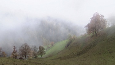 Herbst im Südtiroler Schnalstal | Bild: BR