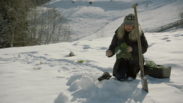 Gemüse ernten im Winter:  Tanja Westfall-Greiter erntet selbst bei Schnee einige Kohlsorten | Bild: BR/Petra Schütz