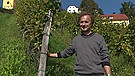 Georg Winkler-Hermaden kümmert sich um den Weinanbau auf Schloss Kapfenstein | Bild: BR