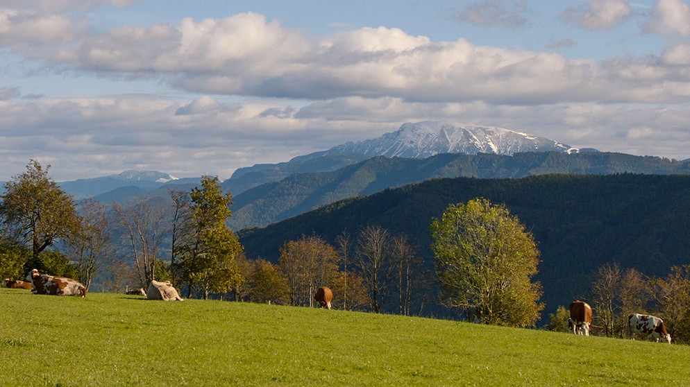 Rund um den Ötscher: Weithin sichtbar ragt der fast 1900 Meter hohe Ötscher aus den Ybbstaler Alpen hervor. | Bild: BR