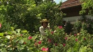 Unter unserem Himmel - Zeit für Rosen: Heilpraktikerin Maria Riedl arbeitet in ihrem Rosengarten. | Bild: BR