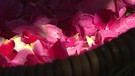 Unter unserem Himmel - Zeit für Rosen: Ein Korb voller Rosenblätter | Bild: BR