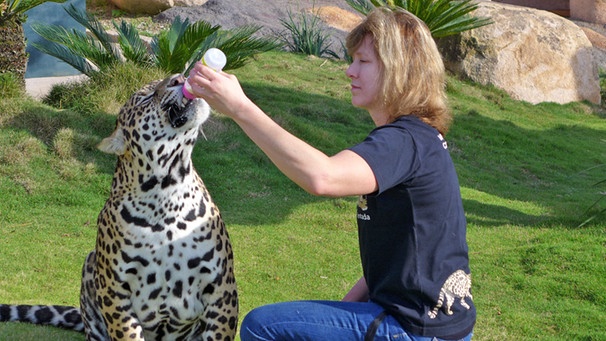 Christiane Saboia mit Jaguar | Bild: BR / Andrea Rüthlein