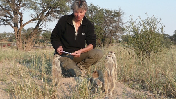 Prof. Dr. Marta Manser bei den Dreharbeiten mit den Erdmännchen in der Kalahari | Bild: BR/Prof. Dr. Marta Manse