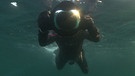 Expedition unter Wasser | Bild: BR
