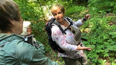 Kräuterexpertin Monika Engelmann erklärt Pflanze im Wald. | Bild: BR