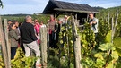 Weinreise mit Conny Ganß nach Unterfranken | Bild: BR