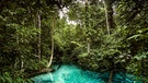 Brasilien - mitten im Regenwald entspringt Quellwasser aus den Tiefen des Erdreichs | Bild: York Hovest 