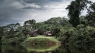Reise durch Amazonien. Naturbilder von York Hovest | Bild: York Hovest 