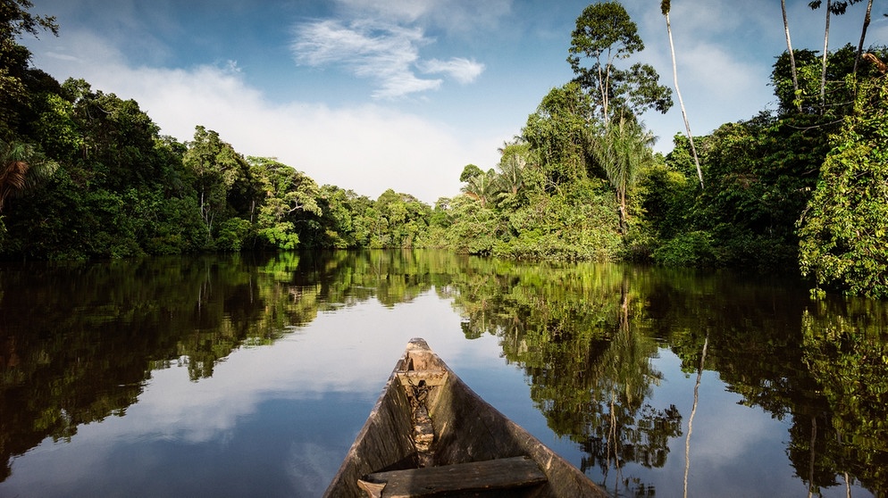 Reise durch Amazonien. Naturbilder von York Hovest | Bild: York Hovest 