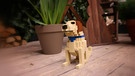Henry mit dem Lego-Henry | Bild: BR / Margaretha Stephan
