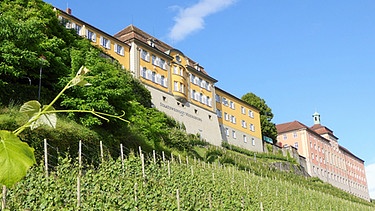 Weinberge in Meersburg | Bild: Wir in Bayern