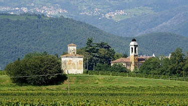 Weinanbaugebiet Franciacorta | Bild: Annette Eckl
